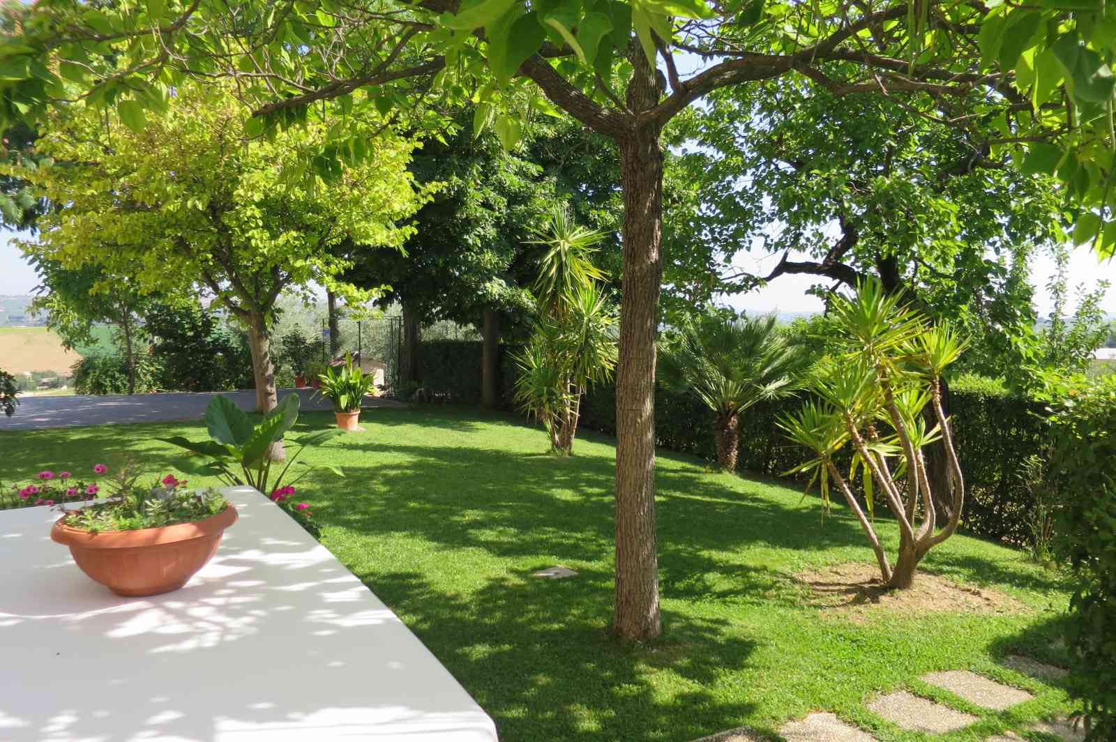 Country Houses Country Houses for sale Loreto Aprutino (PE), Casa Nespolo - Loreto Aprutino - EUR 263.952 340