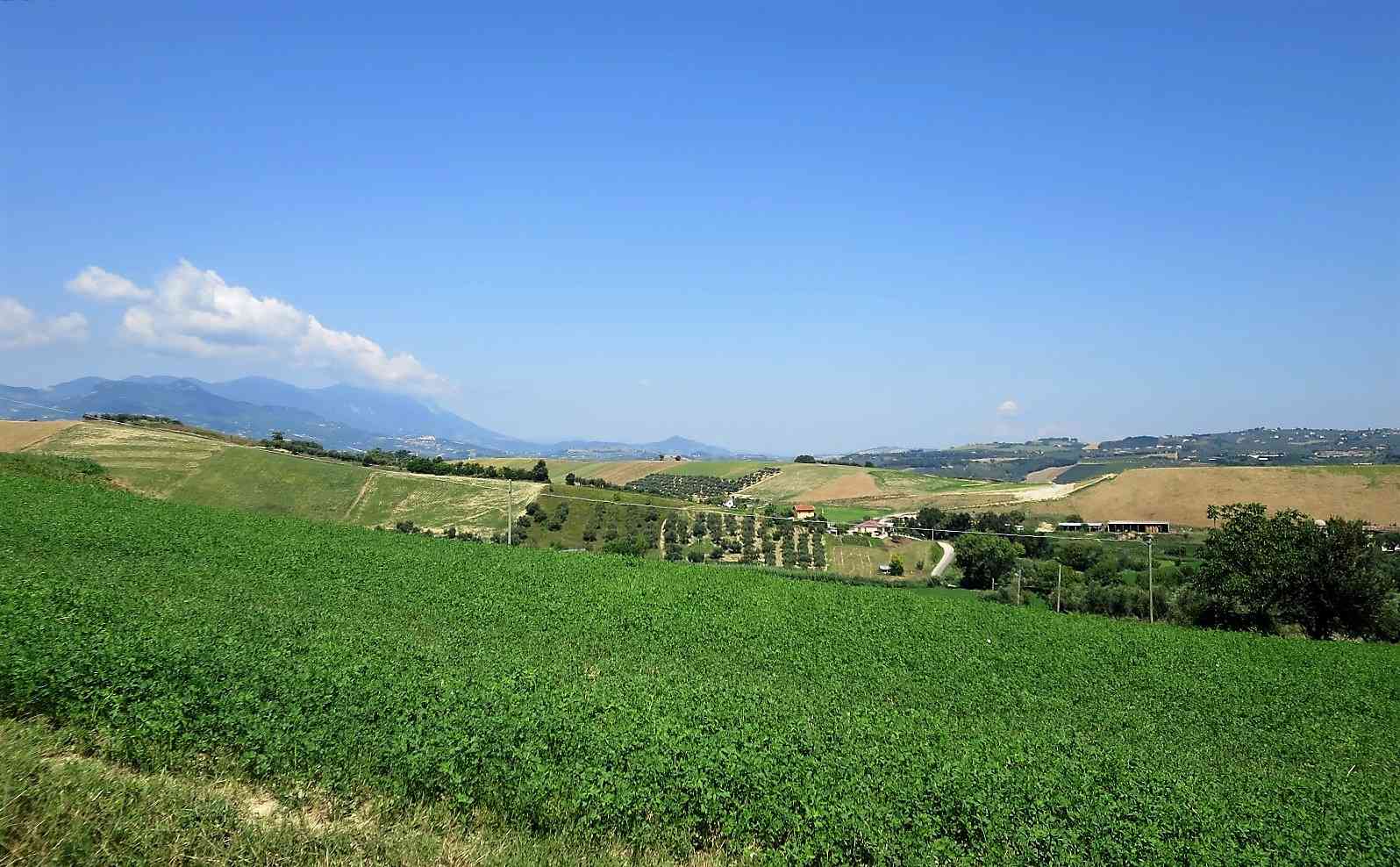 Country Houses Country Houses for sale Loreto Aprutino (PE), Casa Nespolo - Loreto Aprutino - EUR 263.952 460
