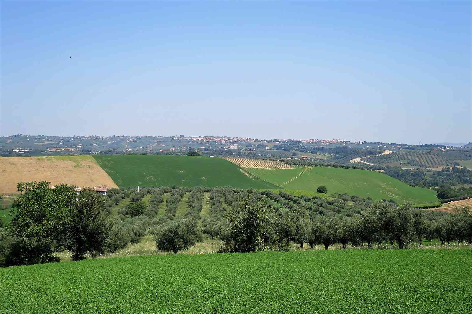 Country Houses Country Houses for sale Loreto Aprutino (PE), Casa Nespolo - Loreto Aprutino - EUR 263.952 470