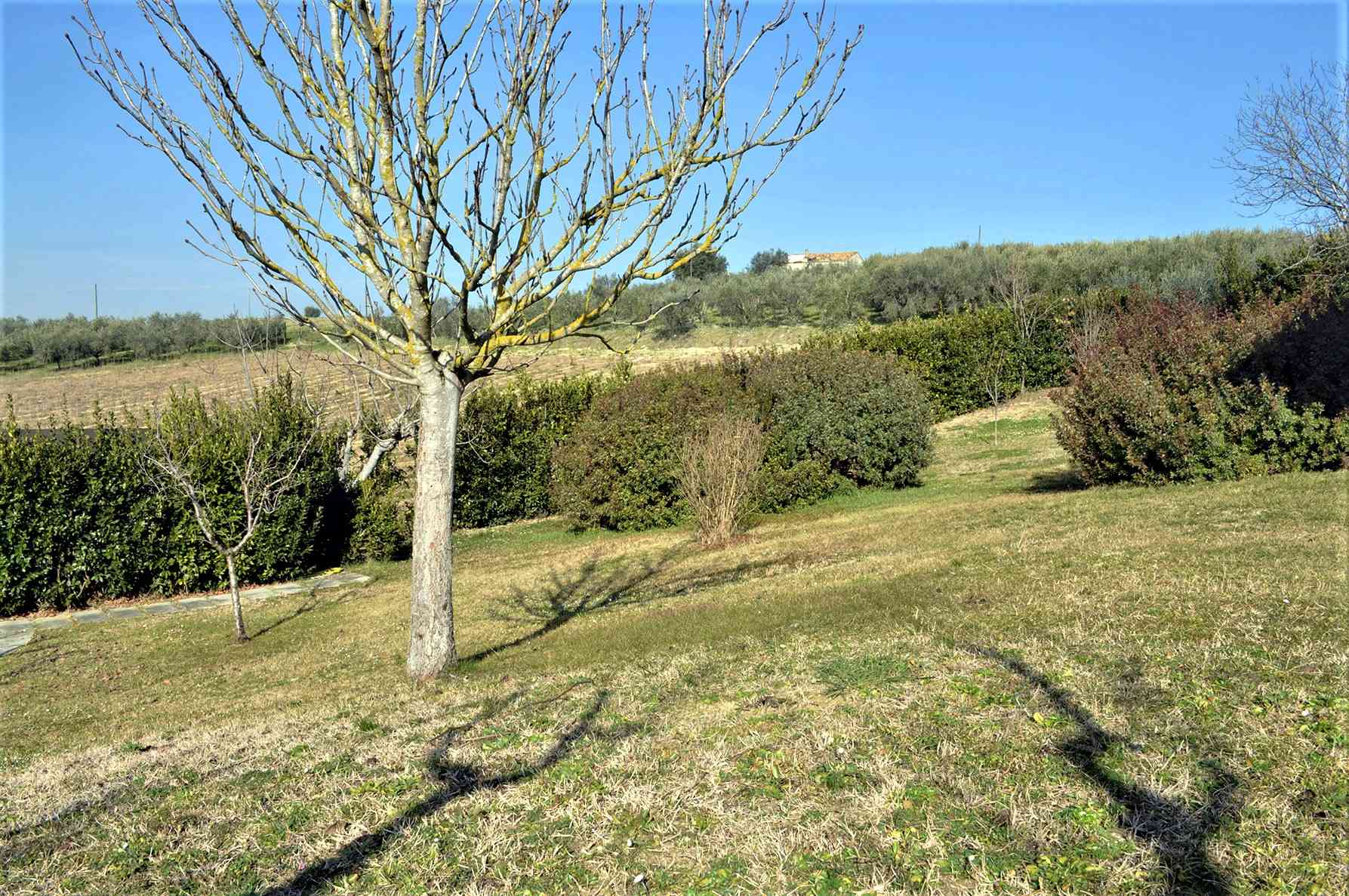 Villa Villa in vendita Tortoreto (TE), Villa Bianca - Tortoreto - EUR 578.919 490