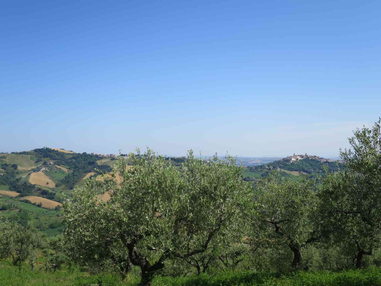 Country Houses Country Houses for sale Cellino Attanasio (TE), Casa Mela - Cellino Attanasio - EUR 240.306 530