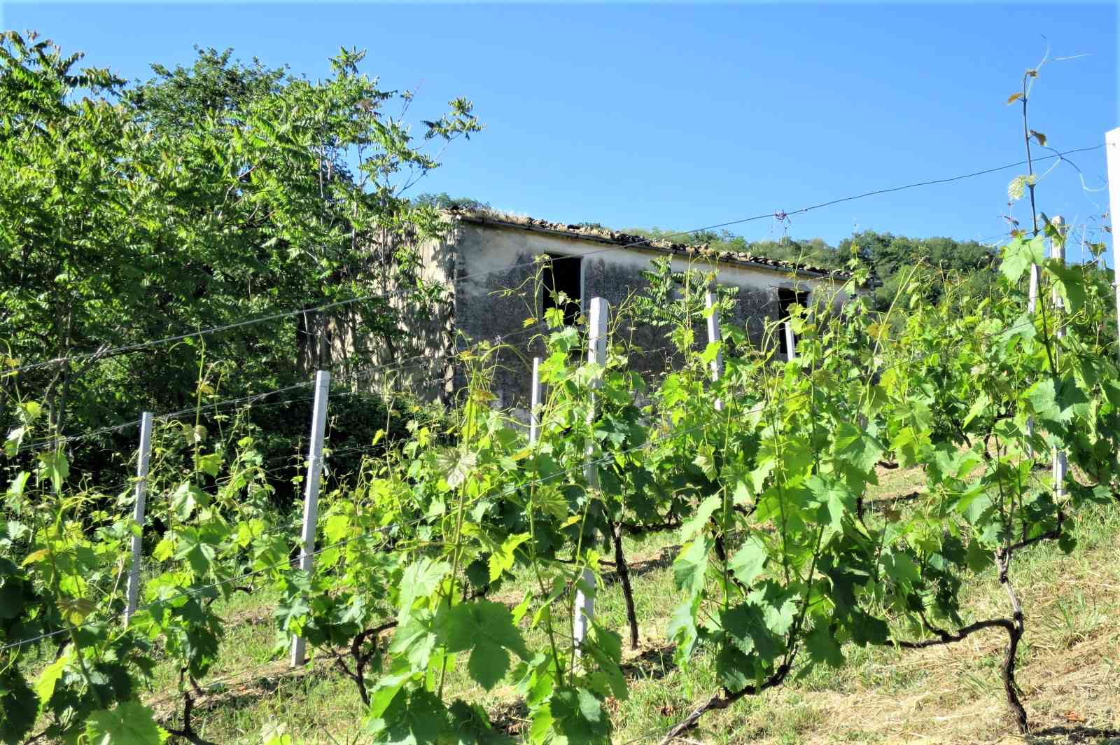 Country Houses Country Houses for sale Castiglione Messer Raimondo (TE), Casa Paradiso - Castiglione Messer Raimondo - EUR 127.128 440