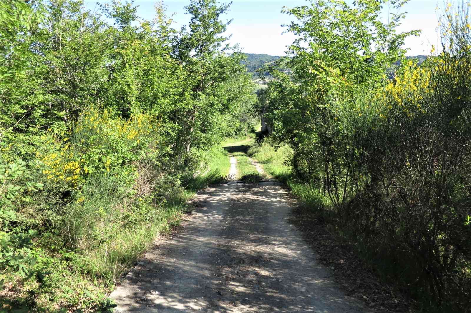 Country Houses Country Houses for sale Castiglione Messer Raimondo (TE), Casa Paradiso - Castiglione Messer Raimondo - EUR 127.128 460