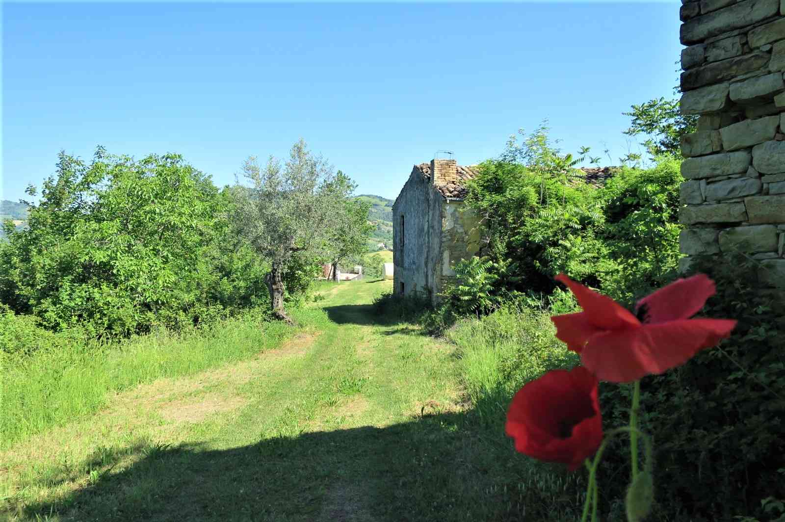 Country Houses Country Houses for sale Castiglione Messer Raimondo (TE), Casa Paradiso - Castiglione Messer Raimondo - EUR 127.128 470