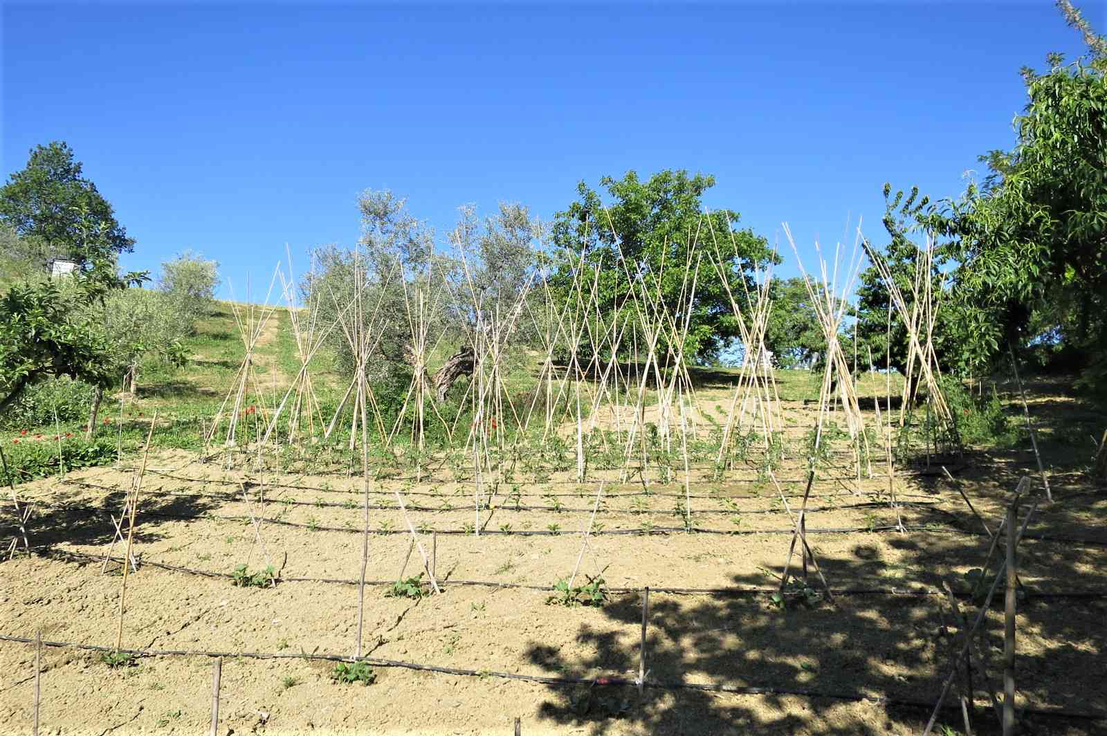 Country Houses Country Houses for sale Castiglione Messer Raimondo (TE), Casa Paradiso - Castiglione Messer Raimondo - EUR 127.128 500