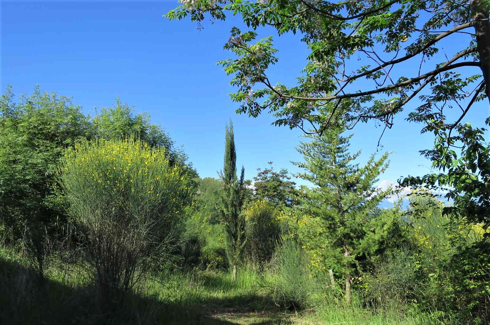 Country Houses Country Houses for sale Castiglione Messer Raimondo (TE), Casa Paradiso - Castiglione Messer Raimondo - EUR 127.128 580