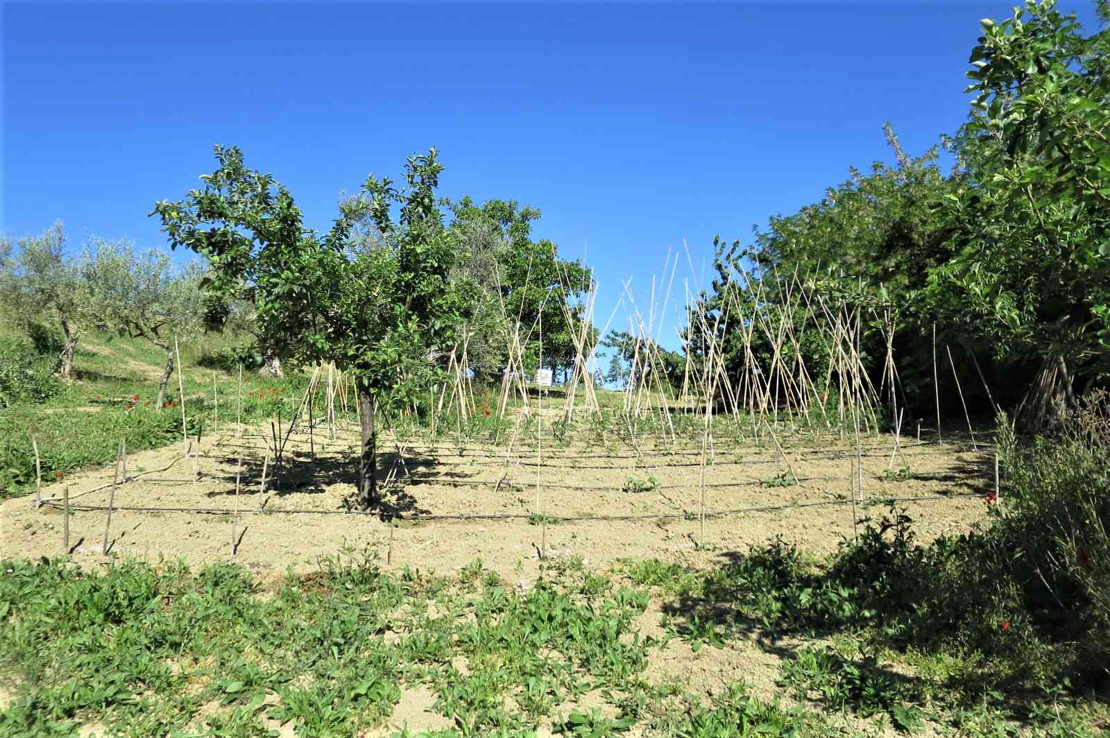 Country Houses Country Houses for sale Castiglione Messer Raimondo (TE), Casa Paradiso - Castiglione Messer Raimondo - EUR 127.128 600
