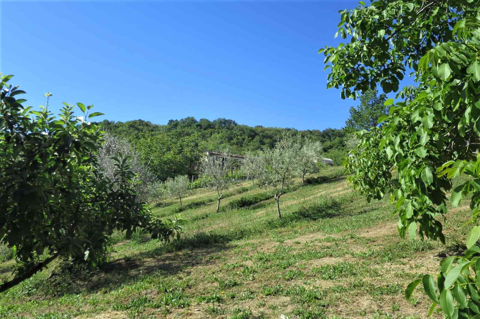 Country Houses Country Houses for sale Castiglione Messer Raimondo (TE), Casa Paradiso - Castiglione Messer Raimondo - EUR 127.128 620