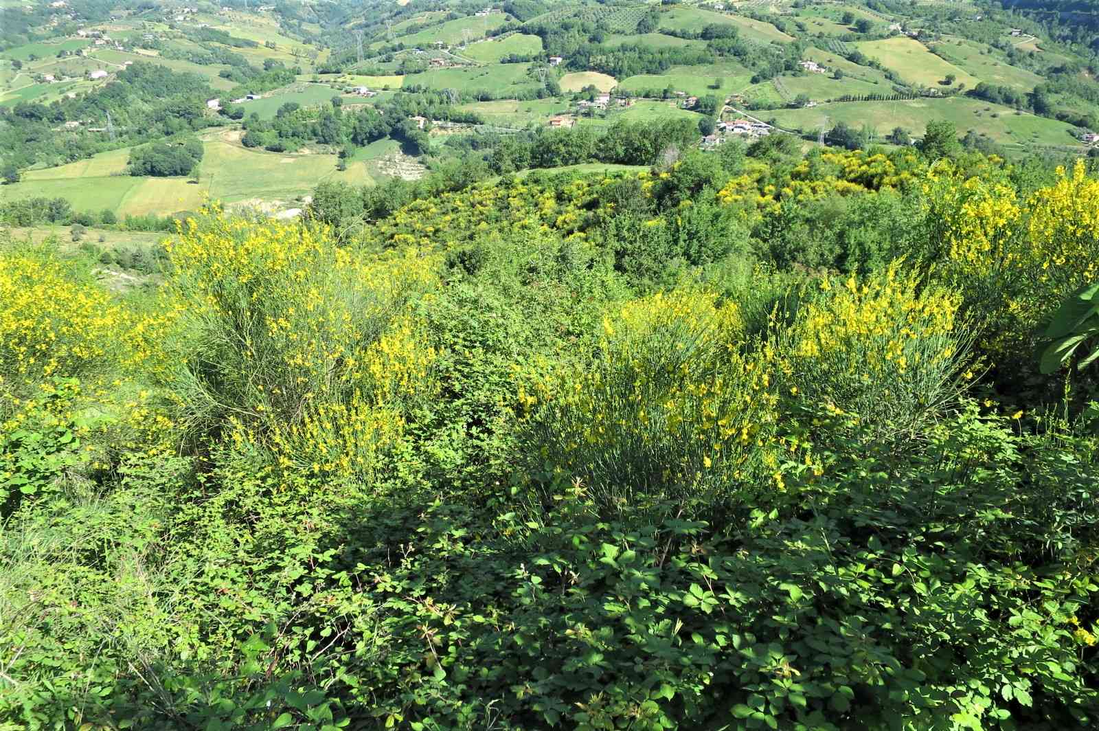 Country Houses Country Houses for sale Castiglione Messer Raimondo (TE), Casa Paradiso - Castiglione Messer Raimondo - EUR 127.128 660