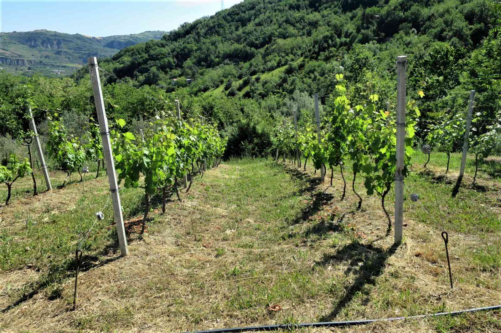Country Houses Country Houses for sale Castiglione Messer Raimondo (TE), Casa Paradiso - Castiglione Messer Raimondo - EUR 127.128 680