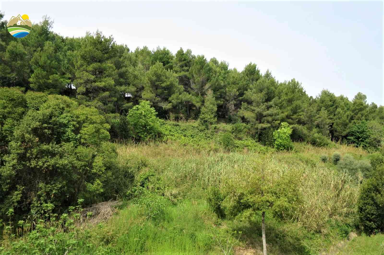 Penthouse Penthouse for sale Pineto (TE), Attico dei Pini - Pineto - EUR 475.150 710