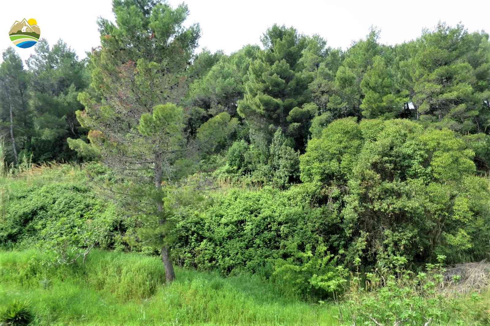 Penthouse Penthouse for sale Pineto (TE), Attico dei Pini - Pineto - EUR 475.150 720
