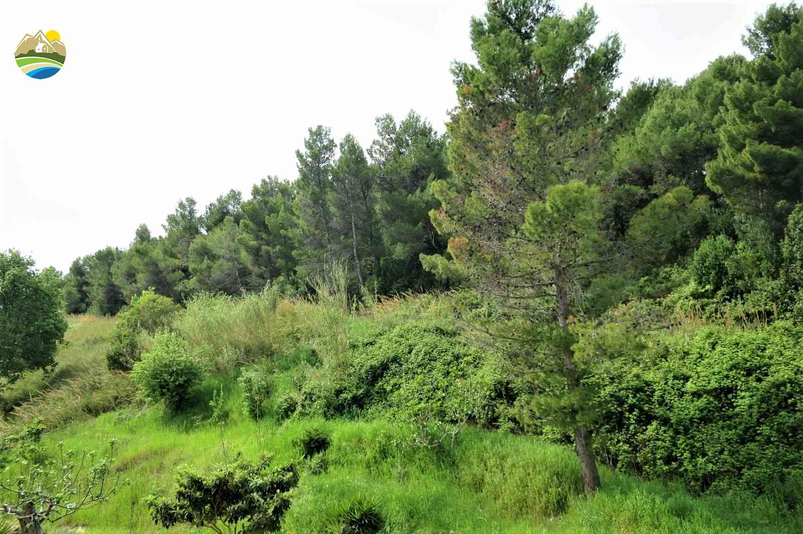 Penthouse Penthouse for sale Pineto (TE), Attico dei Pini - Pineto - EUR 475.150 730