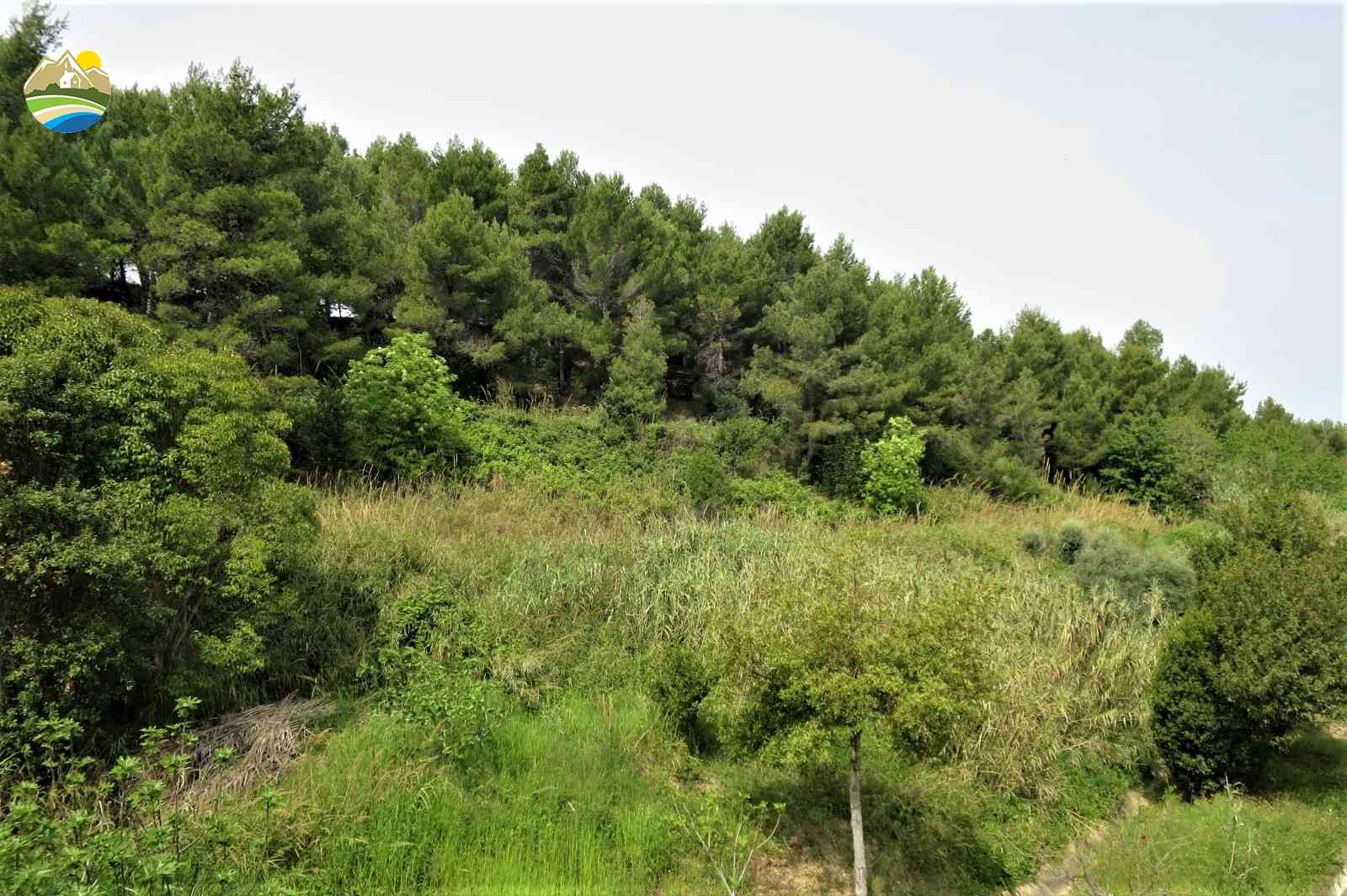 Penthouse Penthouse for sale Pineto (TE), Attico dei Pini - Pineto - EUR 475.150 740