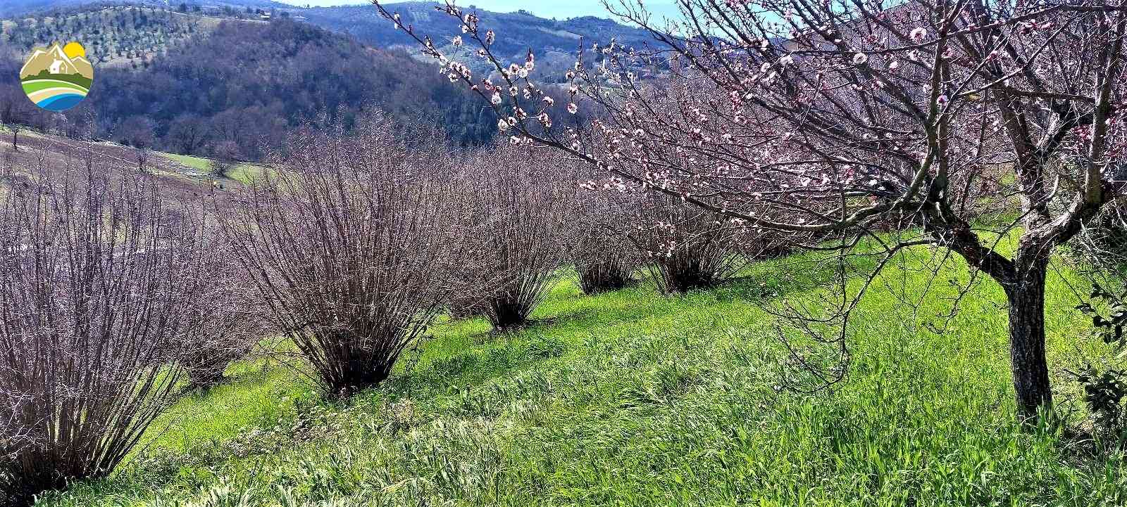 Casa in paese Casa in paese in vendita Picciano (PE), Casa Pesco - Picciano - EUR 45.877 540