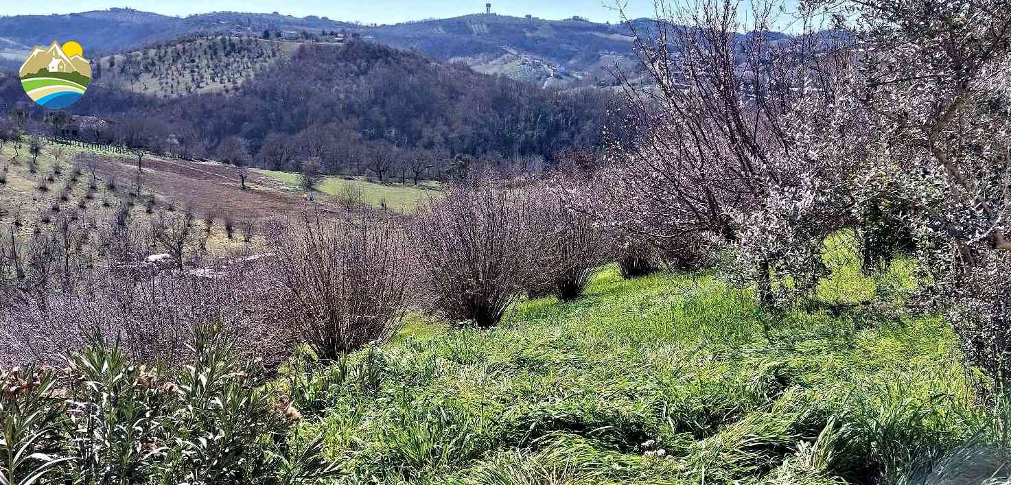 Townhouse Townhouse for sale Picciano (PE), Casa Pesco - Picciano - EUR 42.000 700
