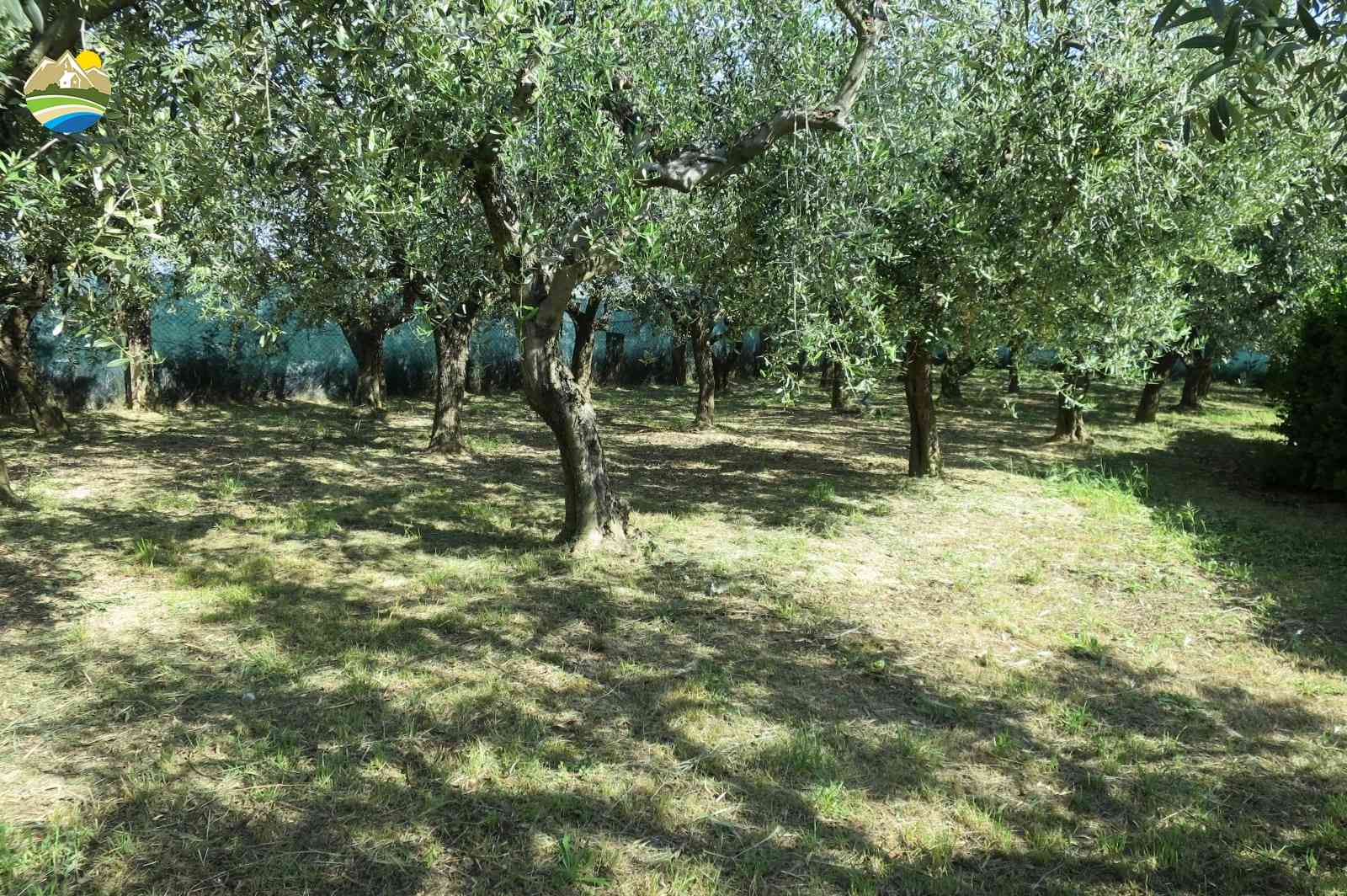 Villa Villa in vendita Pineto (TE), Villa Miramare - Pineto - EUR 557.073 750