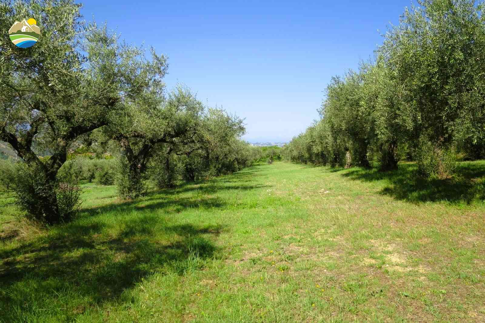 Country Houses Country Houses for sale Elice (PE), Casa del Sole - Elice - EUR 259.967 760