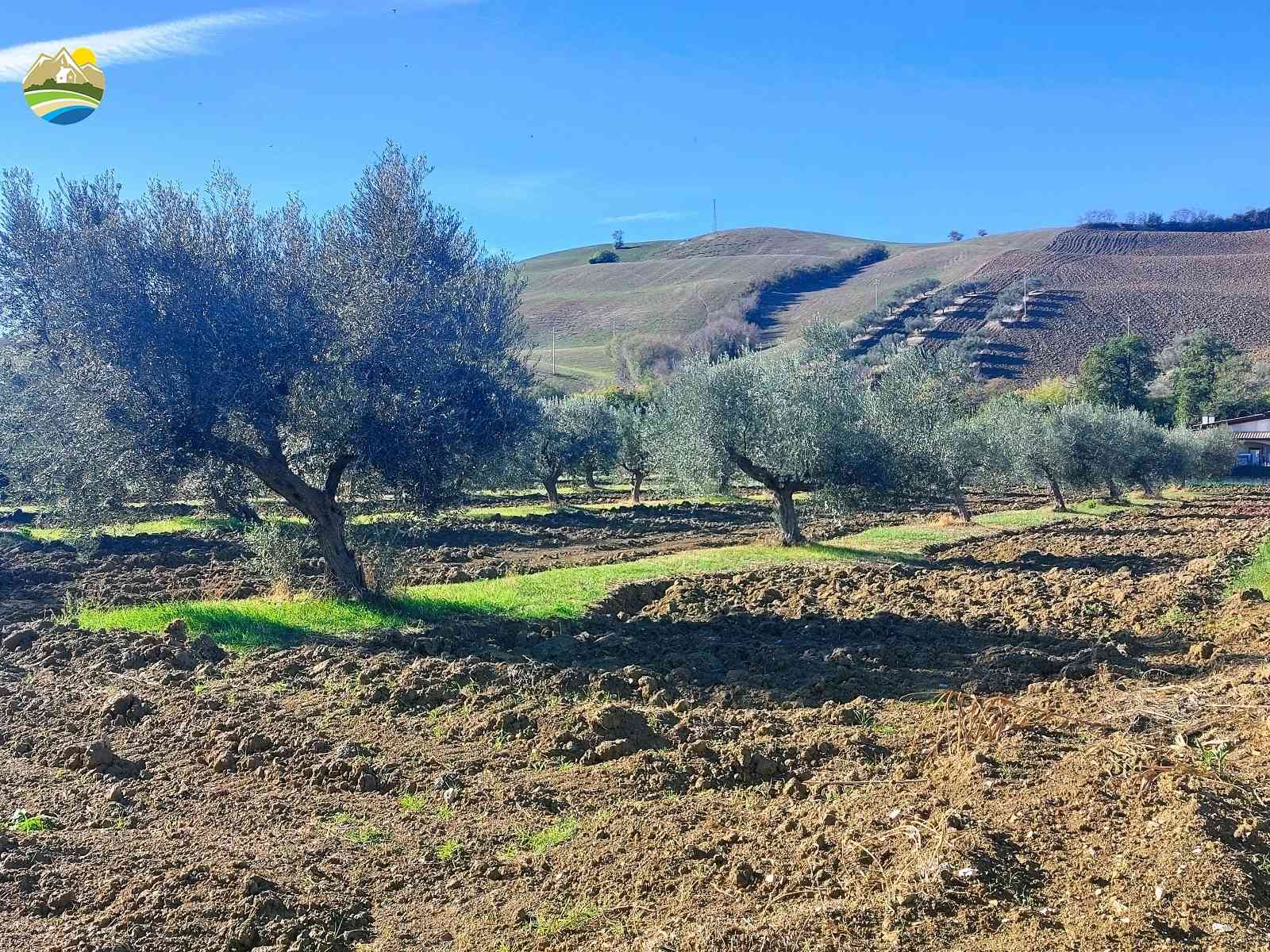 Terreni Edificabili Terreni Edificabili in vendita Pineto (TE), Le Terre del Sole - Pineto - EUR 120.153 580