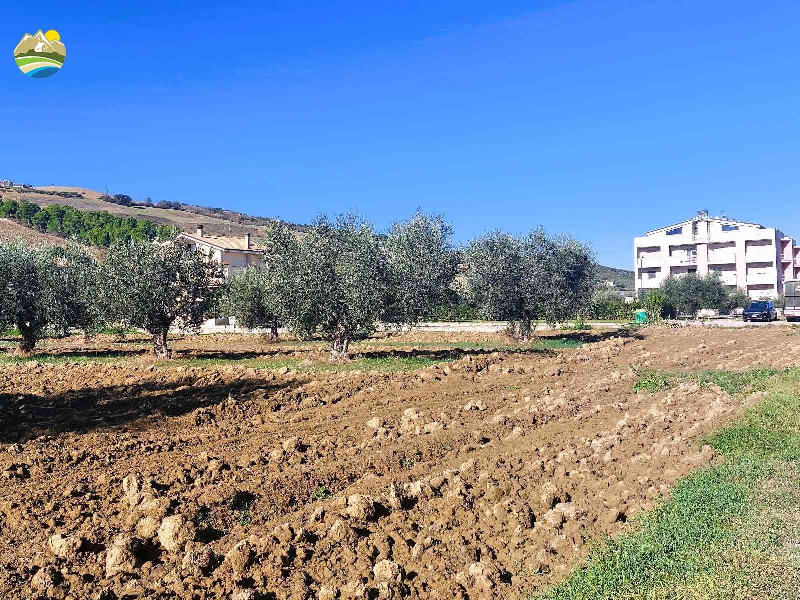 Buildable Land Buildable Land for sale Pineto (TE), Mare e Natura - Pineto - EUR 118.509 590
