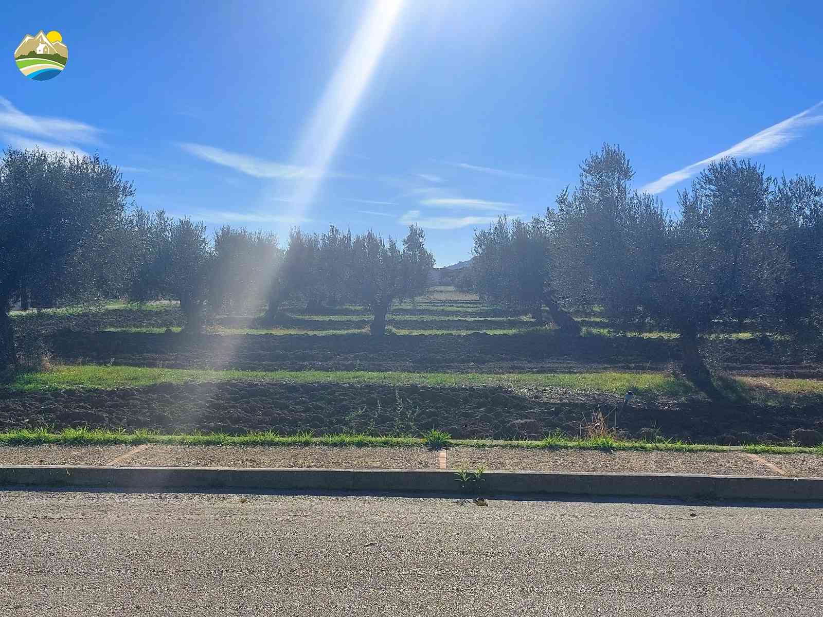 Buildable Land Buildable Land for sale Pineto (TE), Mare e Natura - Pineto - EUR 118.509 600