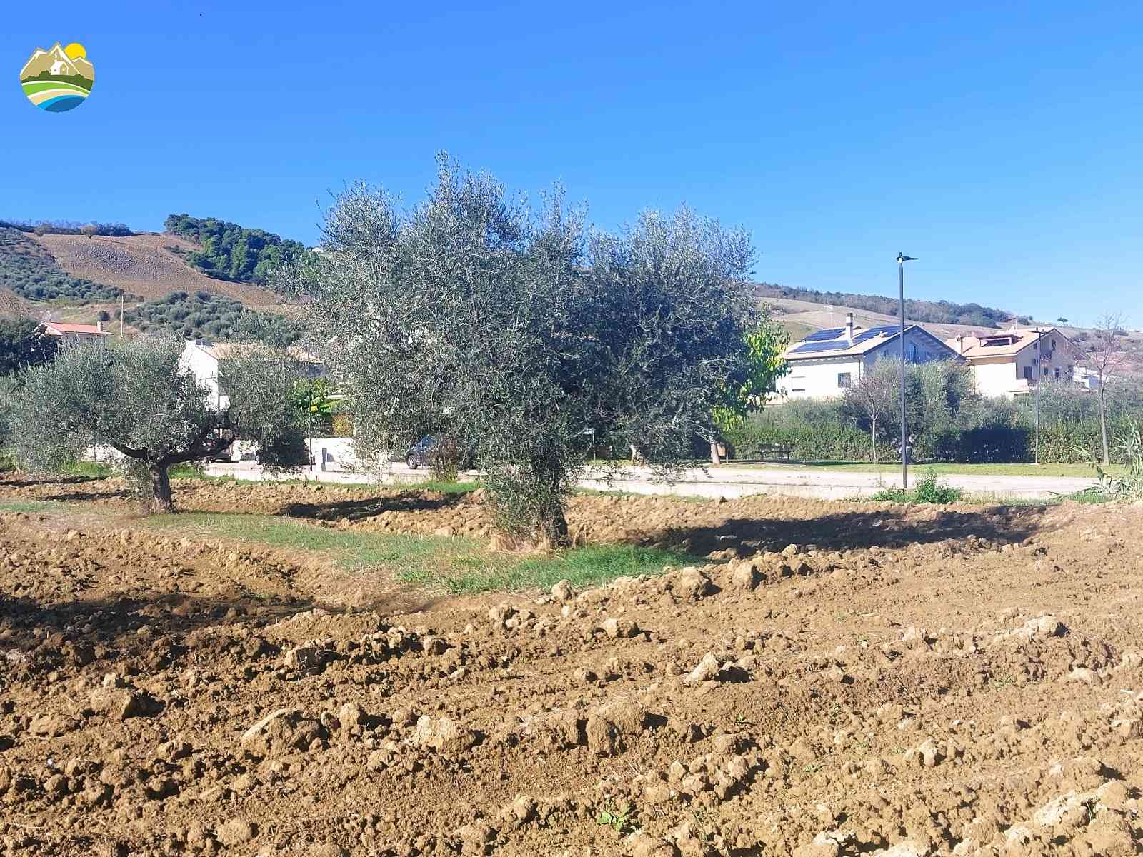 Buildable Land Buildable Land for sale Pineto (TE), Mare e Natura - Pineto - EUR 117.975 630