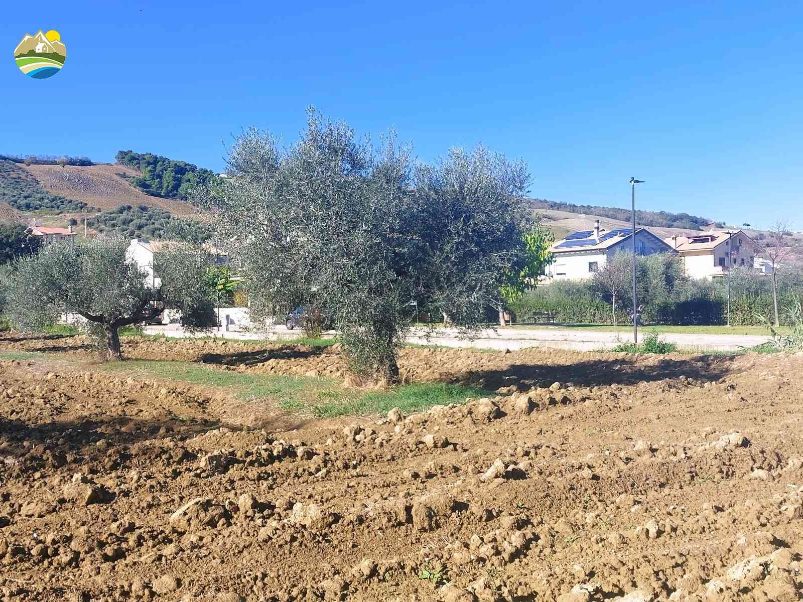 Buildable Land Buildable Land for sale Pineto (TE), Mare e Natura - Pineto - EUR 116.947 630