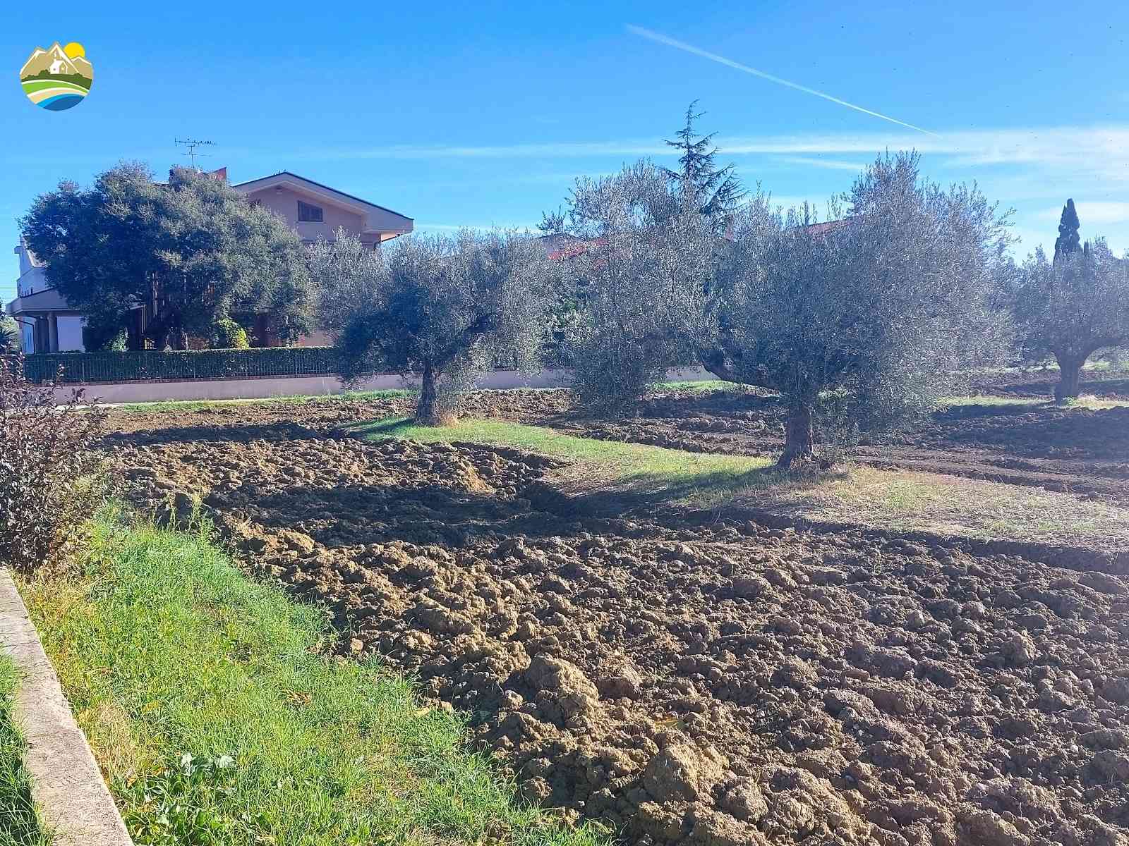 Buildable Land Buildable Land for sale Pineto (TE), Mare e Natura - Pineto - EUR 116.947 640