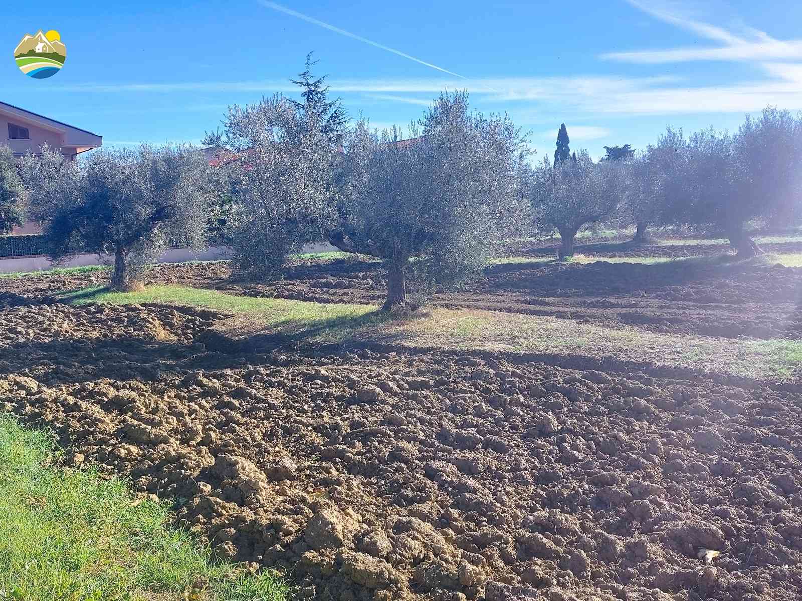 Buildable Land Buildable Land for sale Pineto (TE), Mare e Natura - Pineto - EUR 118.509 650
