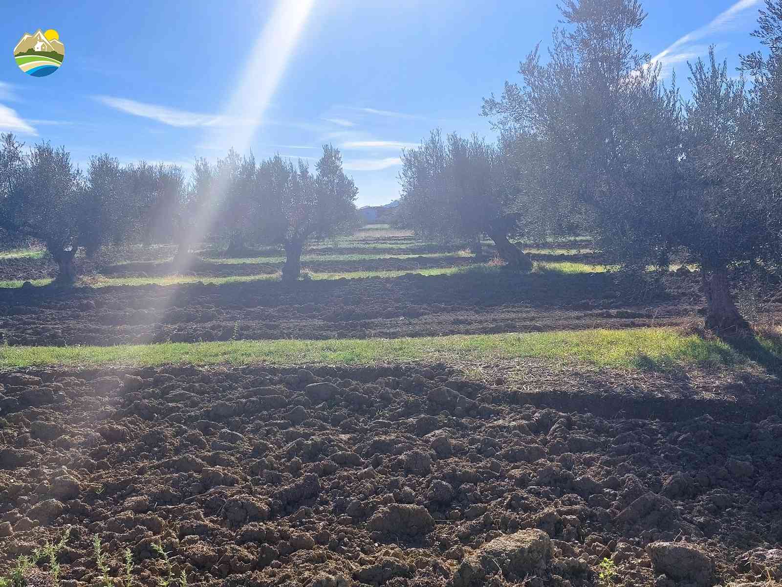 Buildable Land Buildable Land for sale Pineto (TE), Mare e Natura - Pineto - EUR 118.509 670