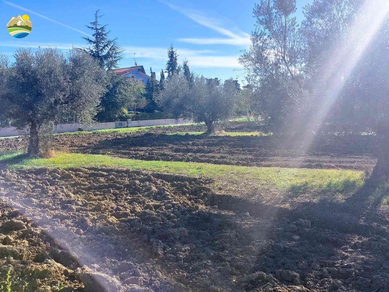 Buildable Land Buildable Land for sale Pineto (TE), Mare e Natura - Pineto - EUR 118.509 690