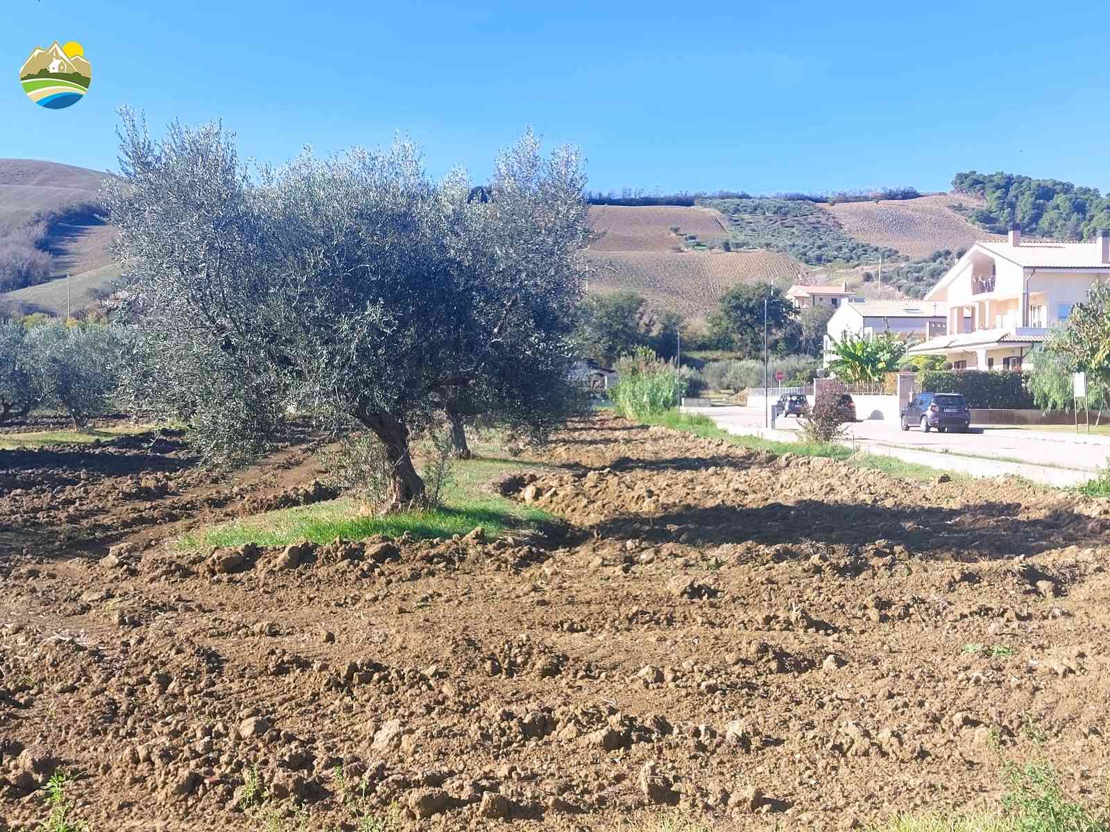 Buildable Land Buildable Land for sale Pineto (TE), Mare e Natura - Pineto - EUR 117.975 700 small