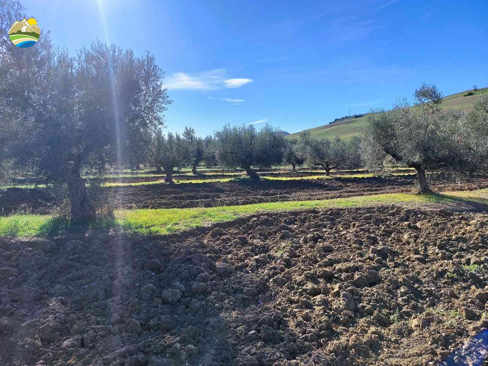 Buildable Land Buildable Land for sale Pineto (TE), Mare e Natura - Pineto - EUR 118.509 710