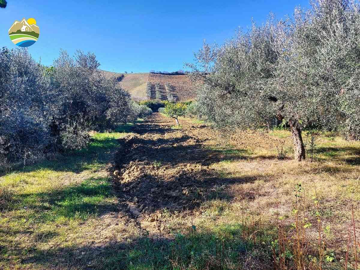 Buildable Land Buildable Land for sale Pineto (TE), Terreno Adriatico - Pineto - EUR 161.603 580