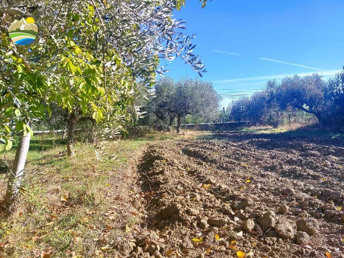 Buildable Land Buildable Land for sale Pineto (TE), Terreno Adriatico - Pineto - EUR 161.603 600