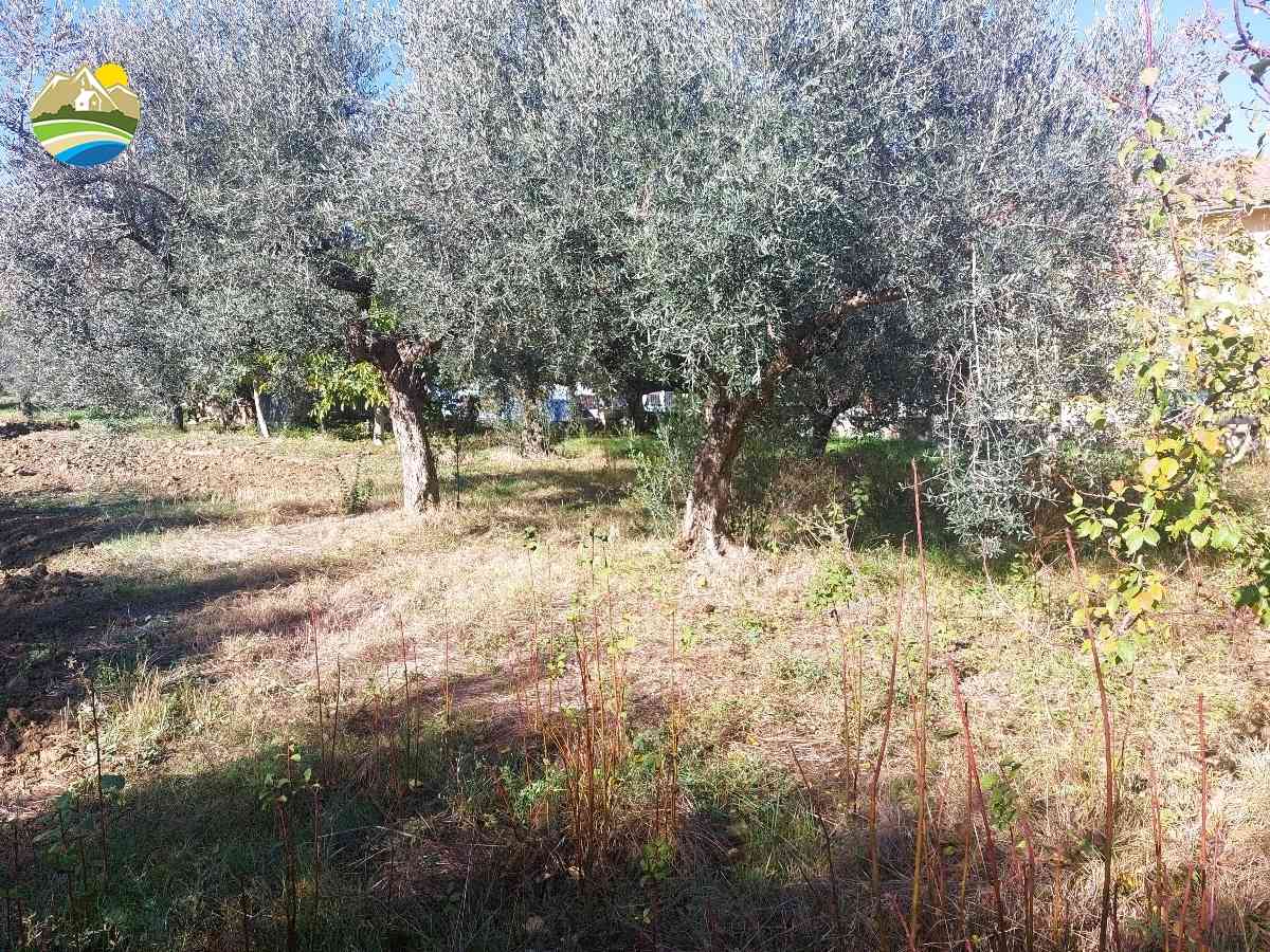 Buildable Land Buildable Land for sale Pineto (TE), Terreno Adriatico - Pineto - EUR 161.603 620