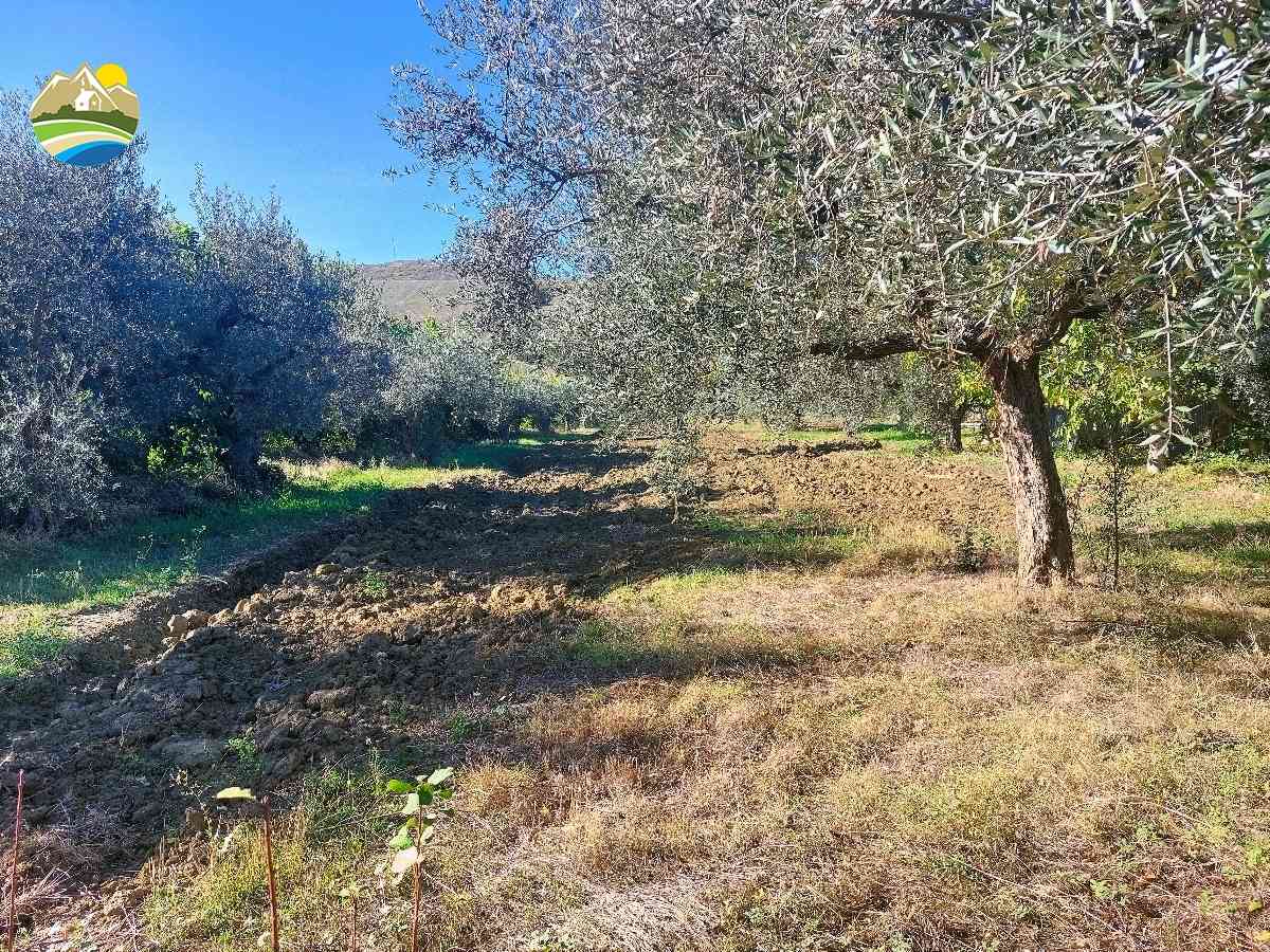 Buildable Land Buildable Land for sale Pineto (TE), Terreno Adriatico - Pineto - EUR 160.875 630
