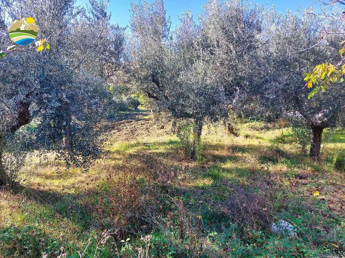 Buildable Land Buildable Land for sale Pineto (TE), Terreno Adriatico - Pineto - EUR 161.603 640