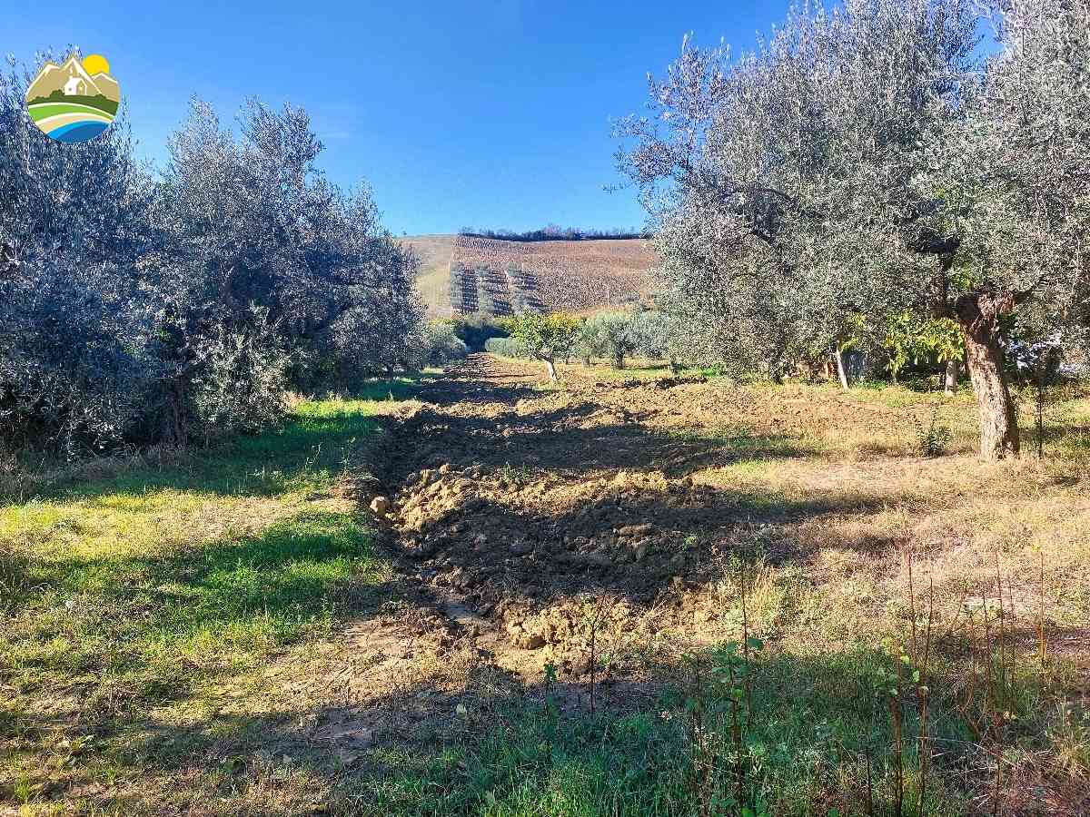Terreni Edificabili Terreni Edificabili in vendita Pineto (TE), Terreno Adriatico - Pineto - EUR 163.845 650