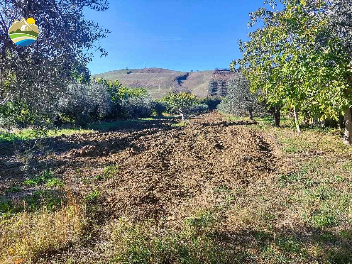 Terreni Edificabili Terreni Edificabili in vendita Pineto (TE), Terreno Adriatico - Pineto - EUR 163.845 660