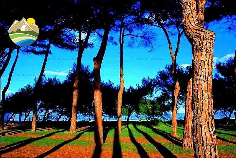 Buildable Land Buildable Land for sale Pineto (TE), Terreno Adriatico - Pineto - EUR 161.603 680