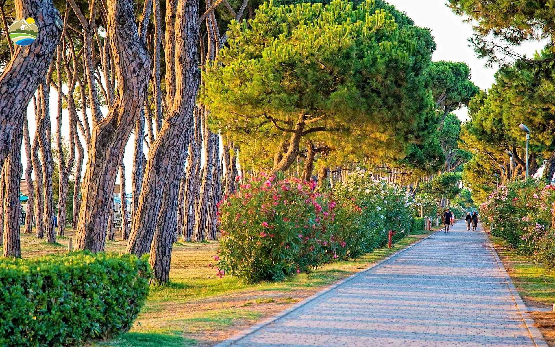 Terreni Edificabili Terreni Edificabili in vendita Pineto (TE), Terreno Adriatico - Pineto - EUR 163.845 700