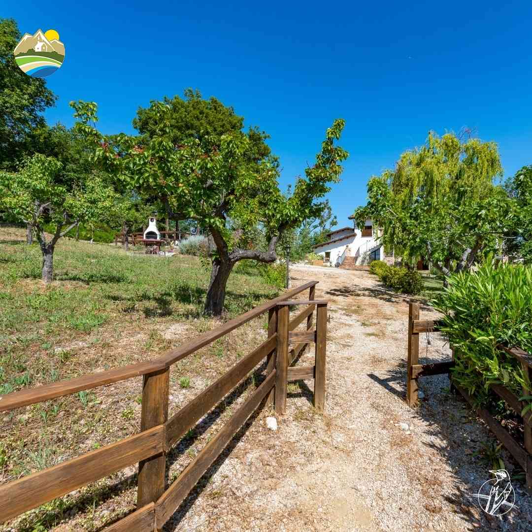 Country Houses Country Houses for sale Morro D'Oro (TE), Casale del Picchio - Morro D'Oro - EUR 775.695 790