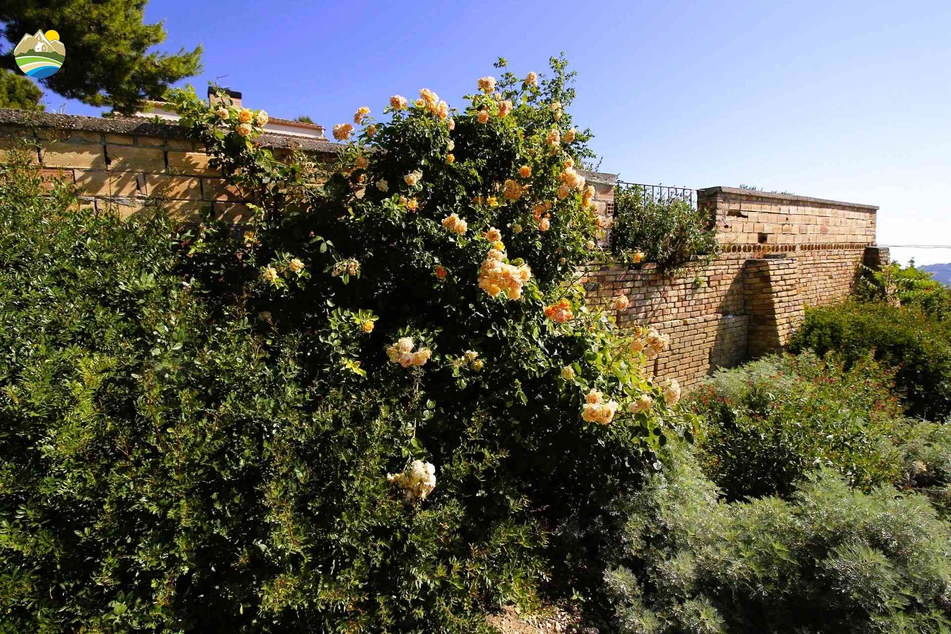 Country Houses Country Houses for sale Atri (TE), Tenuta dei Castelli - Atri - EUR 851.110 640