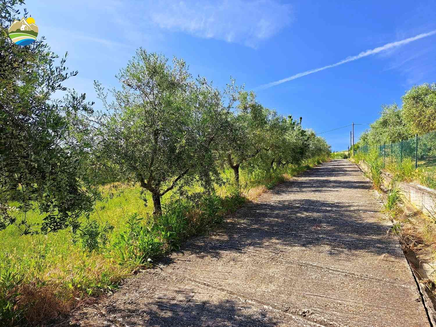 Villa Villa for sale Pineto (TE), Villa Lago - Pineto - EUR 253.178 650