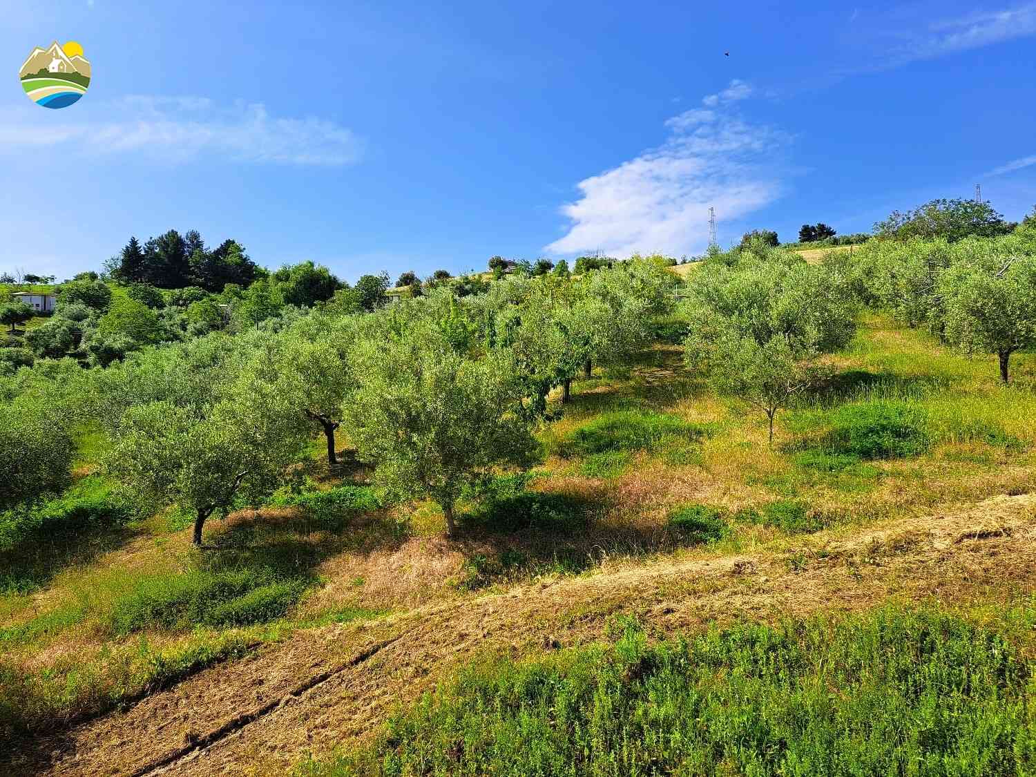 Villa Villa for sale Pineto (TE), Villa Lago - Pineto - EUR 253.178 870