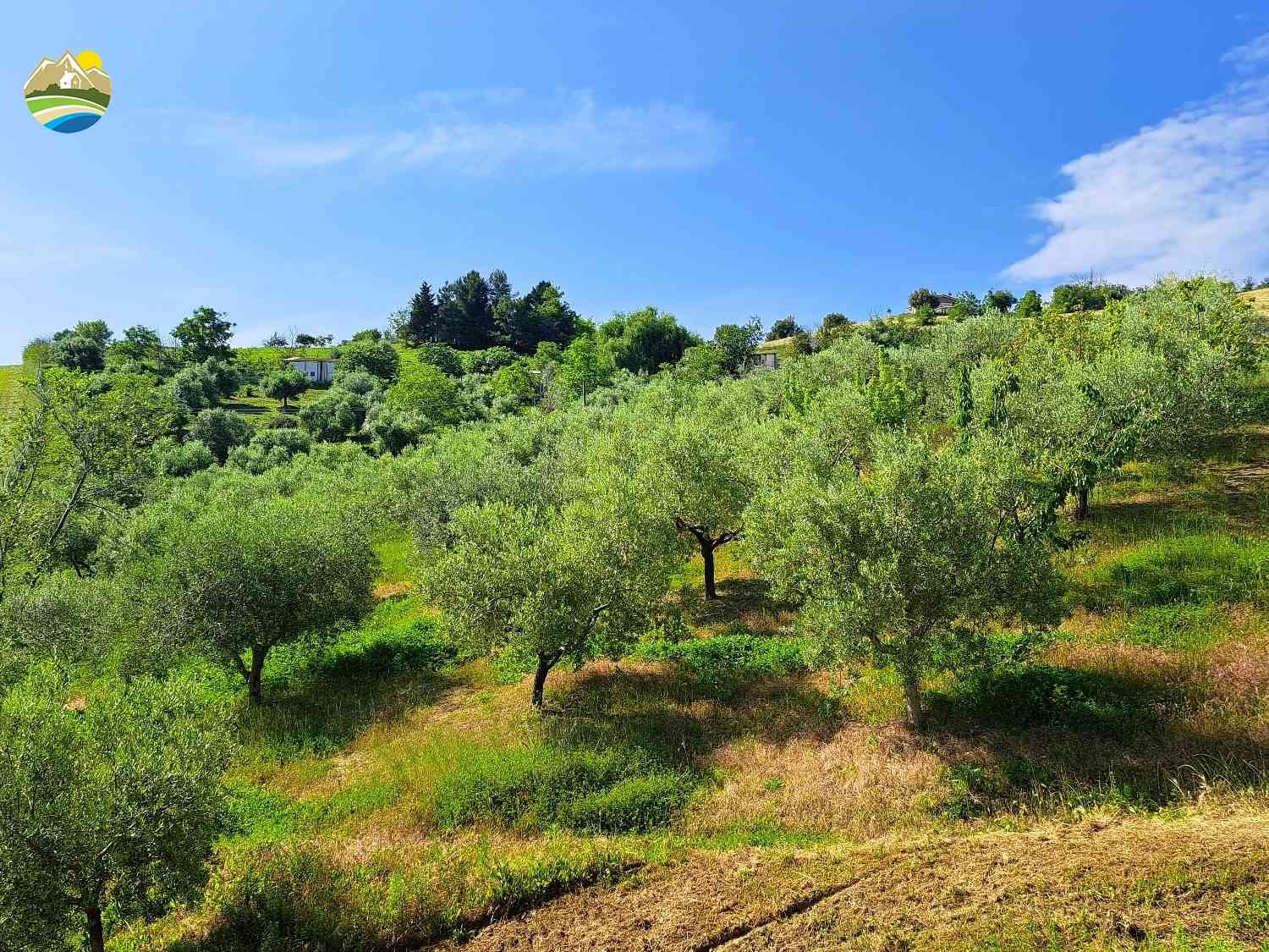 Villa Villa for sale Pineto (TE), Villa Lago - Pineto - EUR 253.178 880