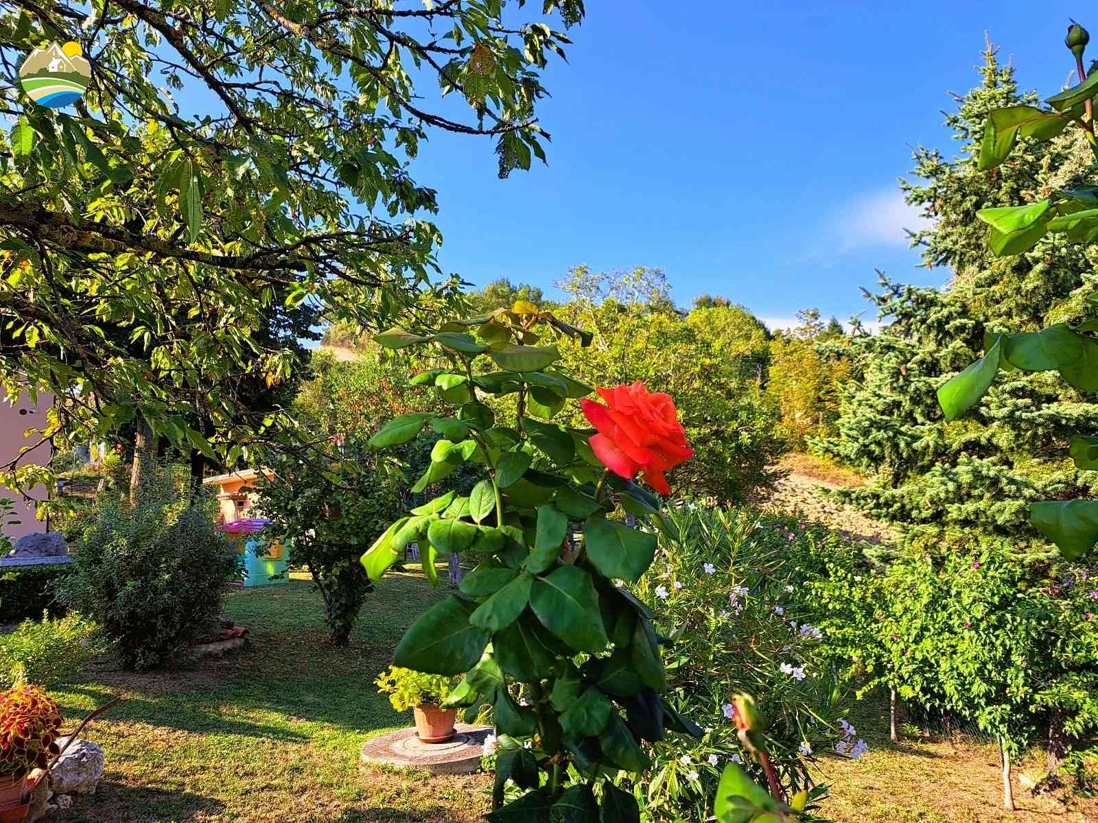 Country Houses Country Houses for sale Arsita (TE), Casa Orchidea - Arsita - EUR 207.537 800