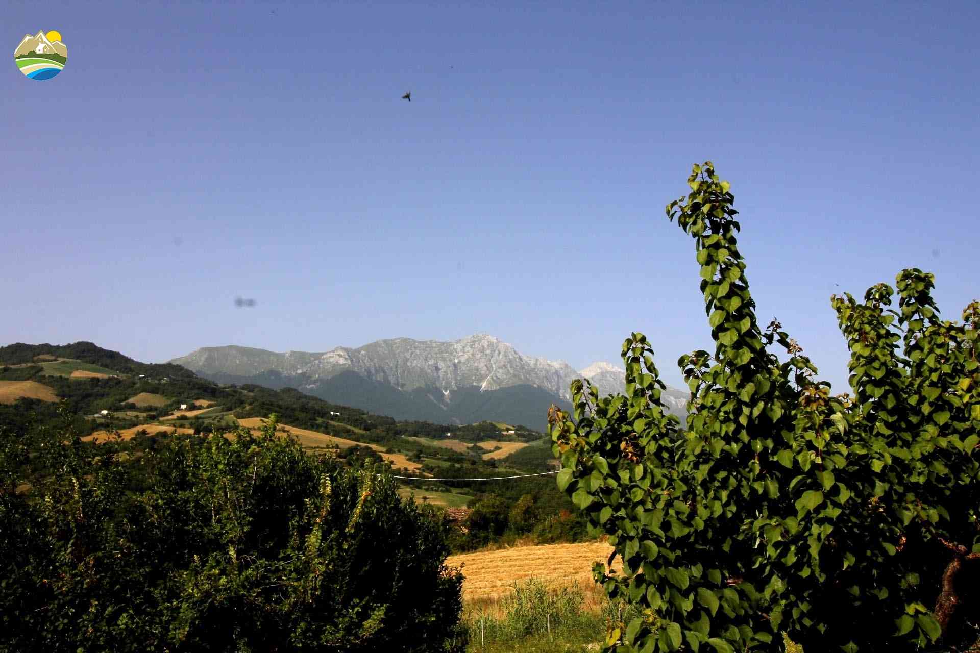 Country Houses Country Houses for sale Bisenti (TE), Casale Casciarelli - Bisenti - EUR 174.768 940