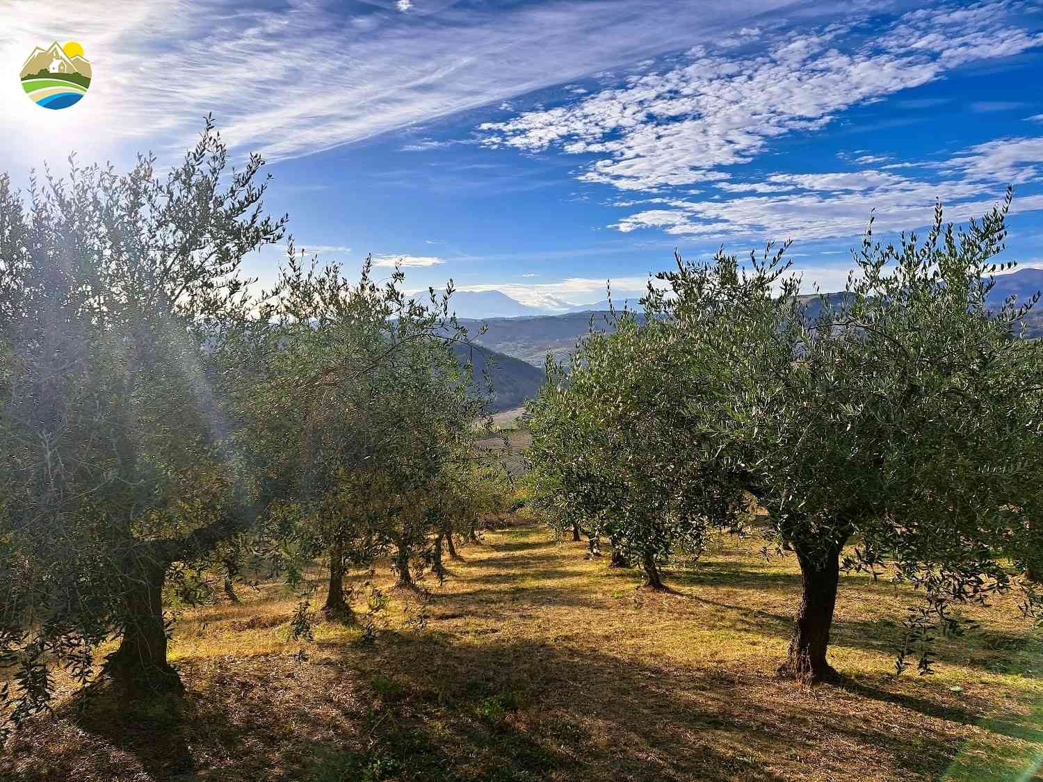 Country Houses Country Houses for sale Castilenti (TE), Casa del Faro - Castilenti - EUR 202.075 870
